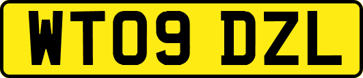 WT09DZL