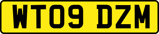 WT09DZM