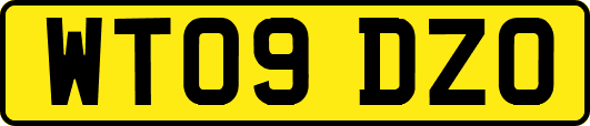 WT09DZO