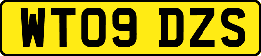 WT09DZS