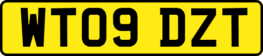 WT09DZT
