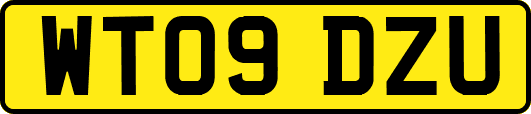 WT09DZU