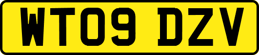 WT09DZV