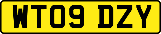 WT09DZY