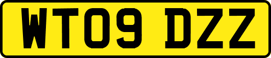 WT09DZZ