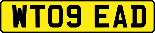 WT09EAD