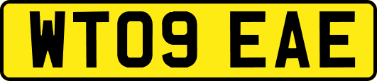 WT09EAE