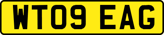 WT09EAG
