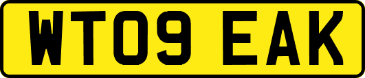 WT09EAK