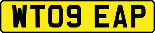 WT09EAP