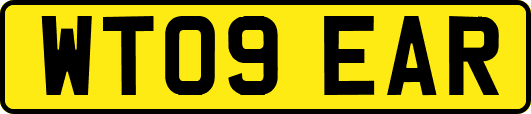 WT09EAR
