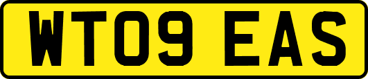 WT09EAS