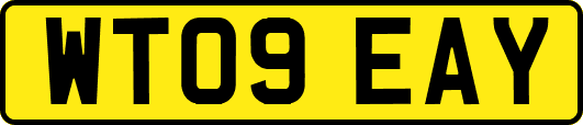 WT09EAY