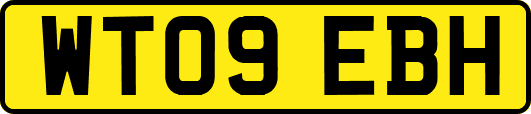 WT09EBH