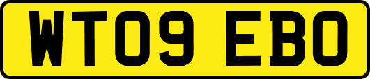 WT09EBO