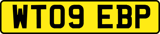 WT09EBP