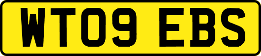 WT09EBS