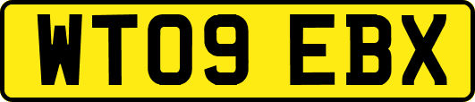 WT09EBX