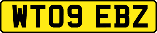 WT09EBZ