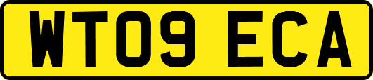 WT09ECA