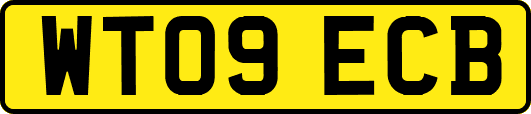 WT09ECB