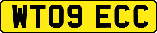 WT09ECC