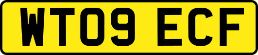 WT09ECF