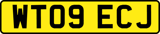 WT09ECJ