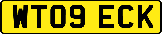 WT09ECK