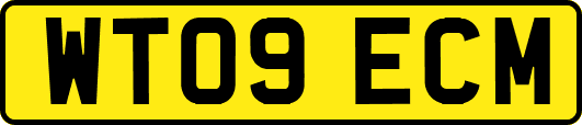 WT09ECM