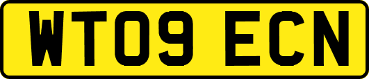 WT09ECN