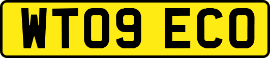 WT09ECO