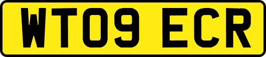 WT09ECR