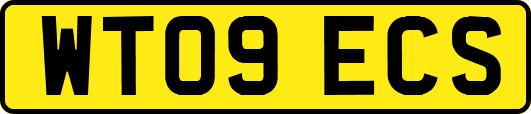 WT09ECS