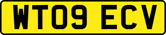 WT09ECV