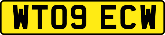 WT09ECW