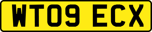WT09ECX