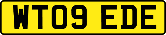 WT09EDE