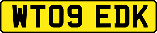 WT09EDK