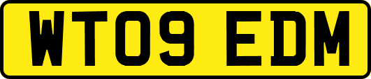 WT09EDM