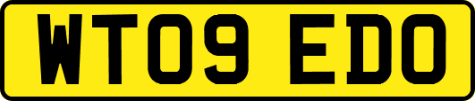 WT09EDO
