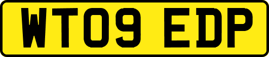 WT09EDP