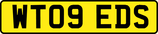 WT09EDS