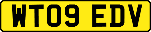 WT09EDV
