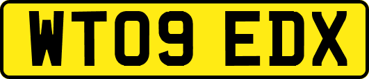 WT09EDX