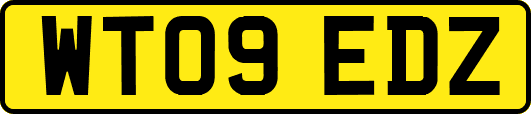WT09EDZ
