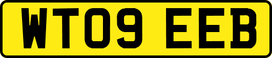 WT09EEB