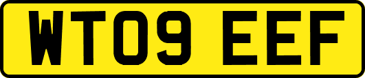 WT09EEF
