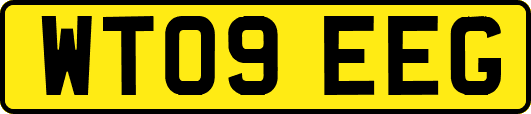 WT09EEG