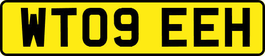 WT09EEH